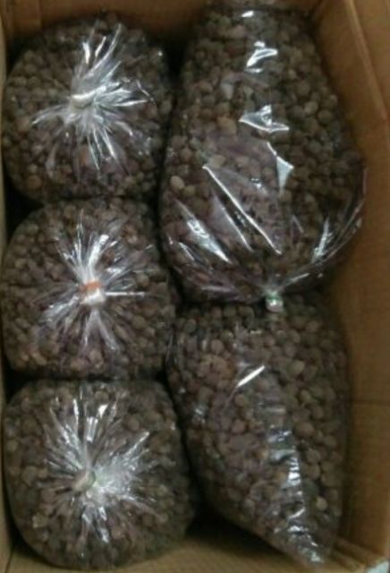 quả sim rừng khô 1 kg | BigBuy360 - bigbuy360.vn