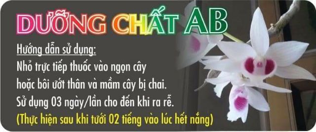 Dưỡng chất ab hàng chính hãng