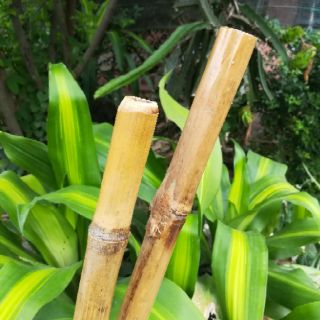 Ống tre thủ công treo rèm
