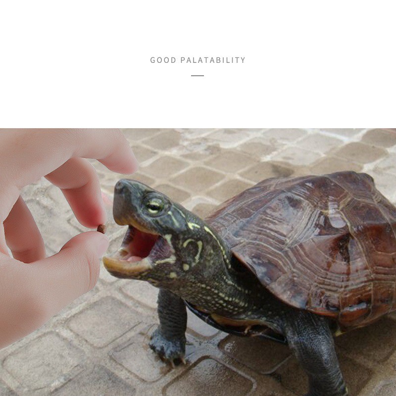 Thức ăn rùa nước JOSANTY 600ml - phụ kiện bò sát - shopleo