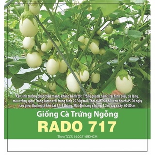 Hạt Giống Cà Trứng Ngỗng 717