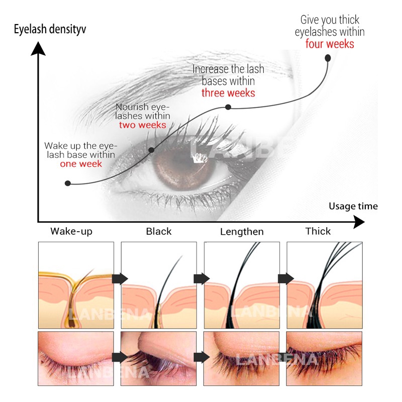 Tinh chất hỗ trợ làm dài lông mi LANBENA 7 ngày giúp mi dài và dày hơn