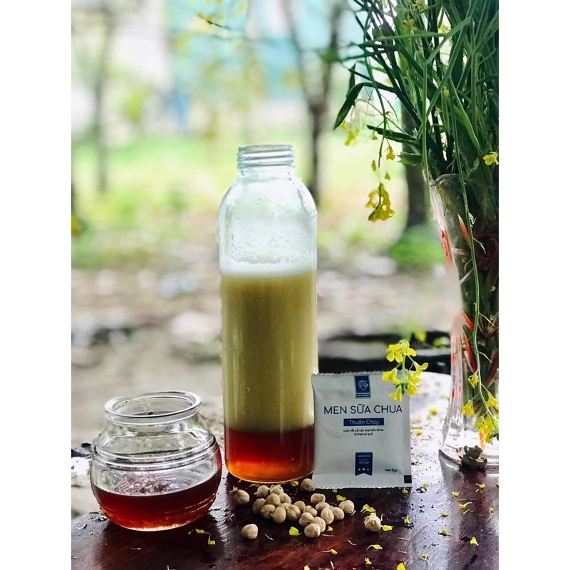 Combo tiết kiệm 5 gói Men Thuần Chay men sữa chua sữa hạt men thực vật