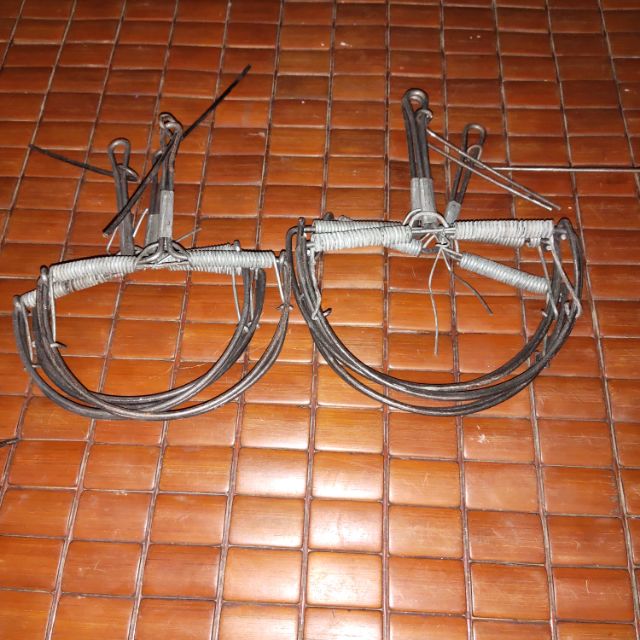 Bẫy chuột bán nguyệt