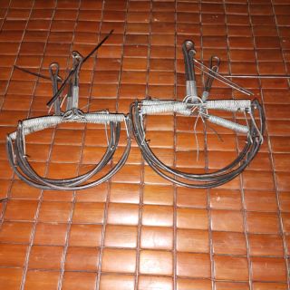 Bẫy chuột bán nguyệt