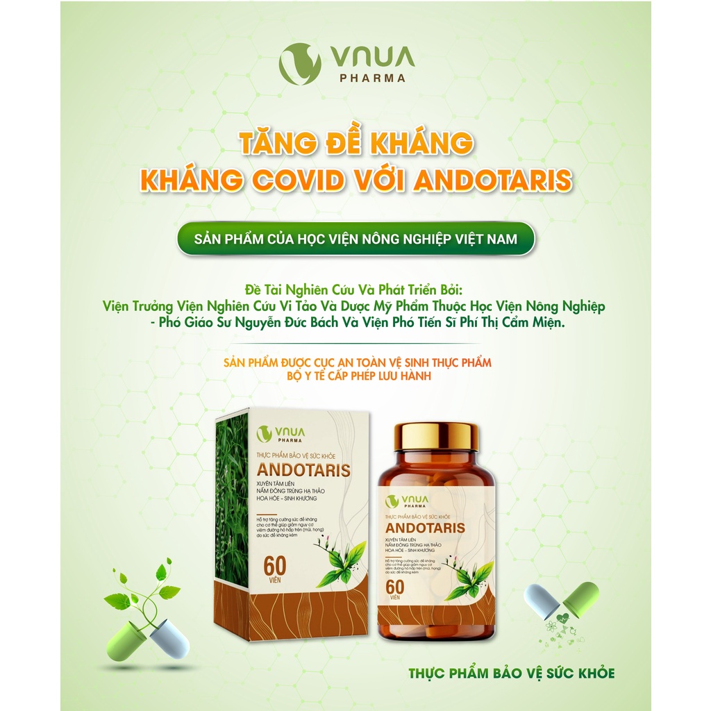 Andotaris VNUA Pharma Viên Uống Tăng Sức Đề Kháng Giảm Nguy Cơ Viêm Đường Hô Hấp, Viên Uống Xuyên Tâm Liên - Hộp 60 Viên
