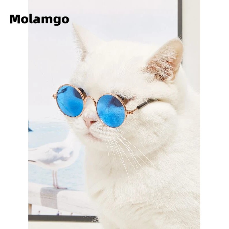 Kính Mát Thời Trang Dành Cho Thú Cưng kính cho chó mèo kính cho chó