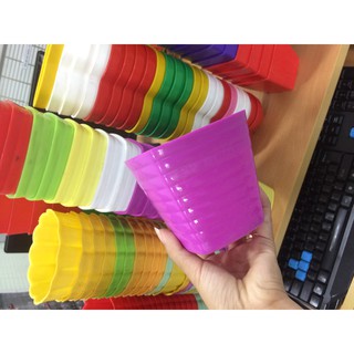 COMBO 25 CHẬU NHỰA