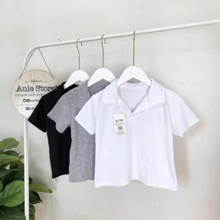 Áo Croptop Polo Cộc Tay Nữ , ❤️MysticStore<FREESHIP>❤️, Áo Cổ Bẻ Chất Thun Gân, Áo Croptop Cổ Tim 3 Màu ĐEN TRẮNG GHI | BigBuy360 - bigbuy360.vn