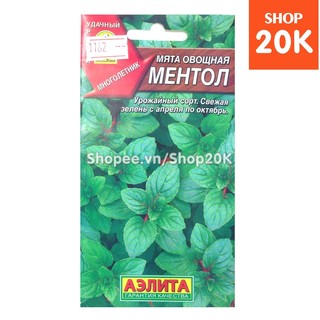 Hạt giống Bạc hà Socola