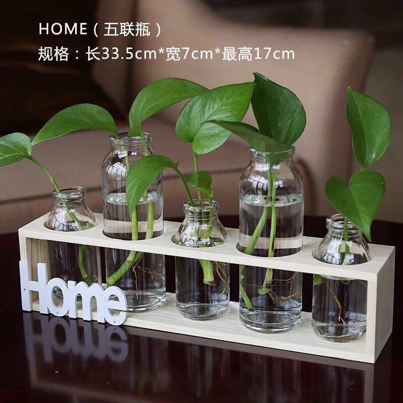 Set 5 lọ hoa để bàn kèm kệ gỗ cao cấp Home