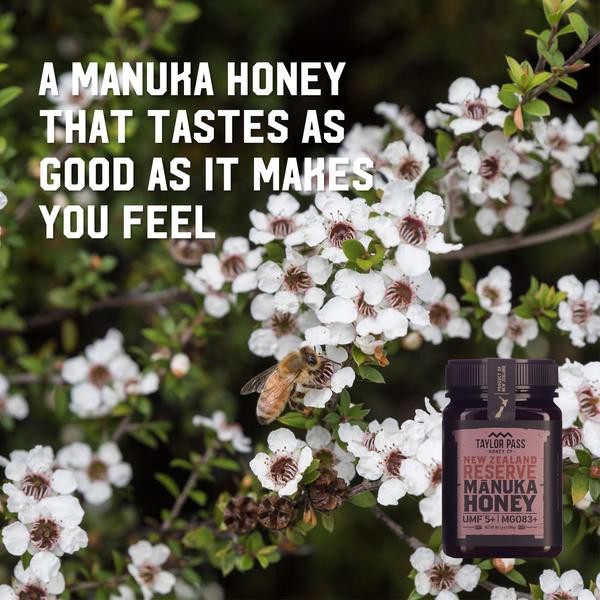 [DATE 8/ 2022] Mật ong Manuka Taylor Pass Honey Co UMF 5+ MGO 83+ 500G