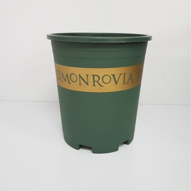 Chậu Mon 1.5gal (20x20cm)_Chậu nhựa trồng hoa Monrovia VN loại đẹp