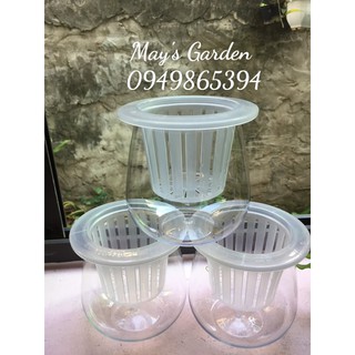Combo 3 chậu nhựa trồng cây thủy sinh