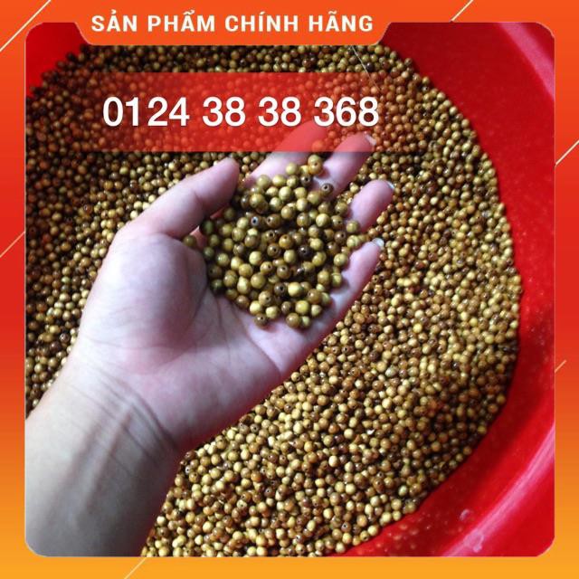 100g Hạt Dâu