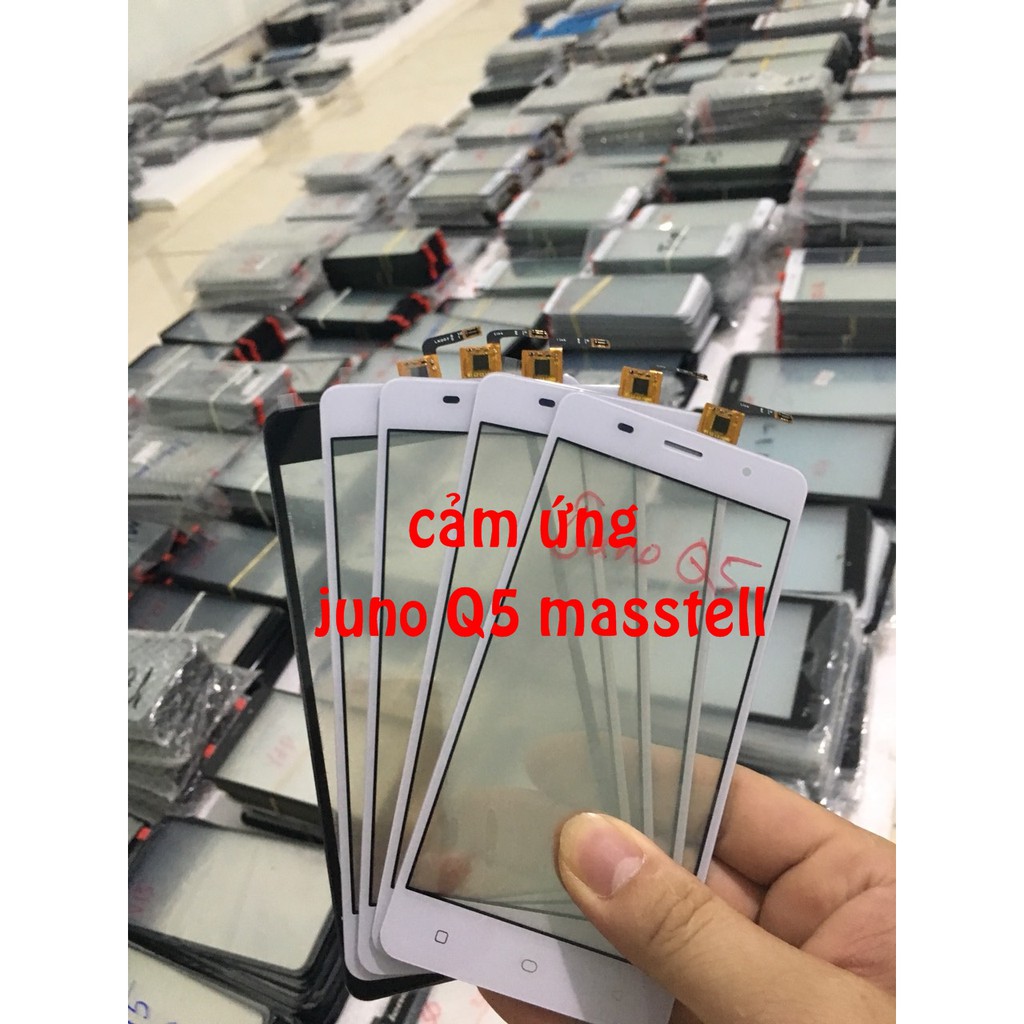 cảm ứng masstel juno q5