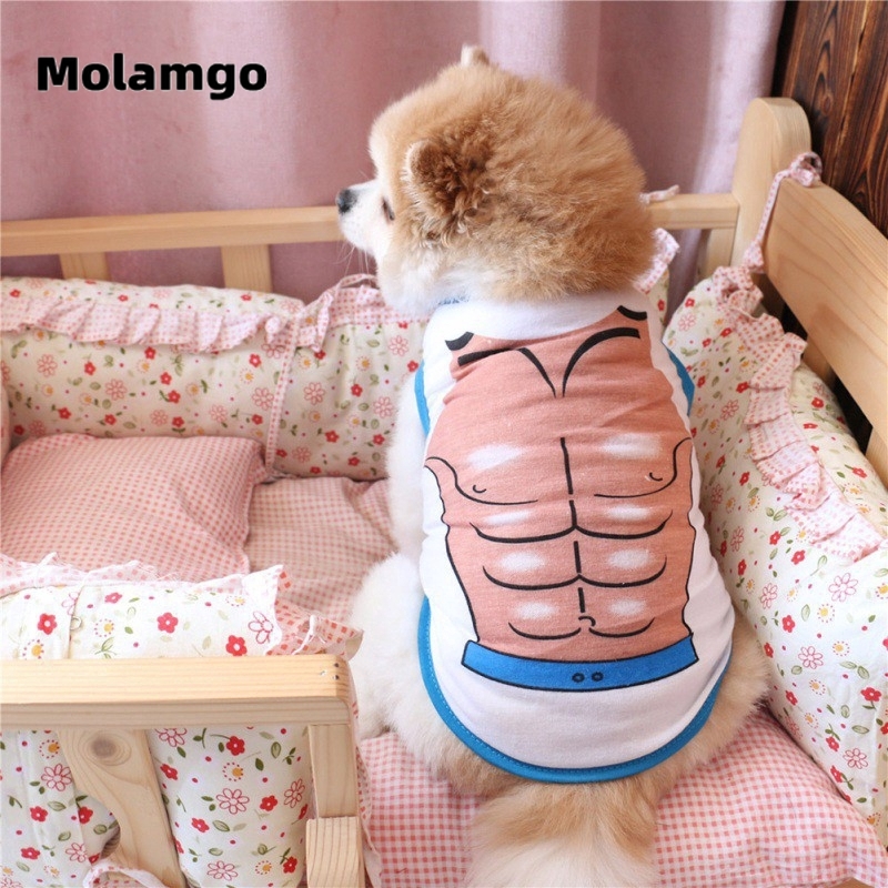 Áo Vest Thời Trang Xinh Xắn Cho Thú Cưng