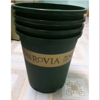 Chậu monrovia 10 cái 5gl xanh