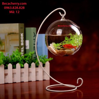 Bể cá mini c33 trắng - 12