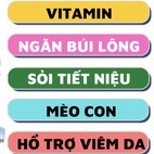 Gel GimCat Derma Paste - Hỗ Trợ Điều Trị Viêm Da Lông Cho Mèo ( 50g )