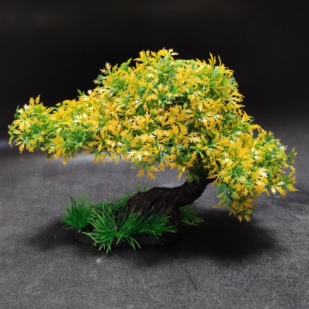 Cây cảnh nhựa trang trí bể cá - cây 1 tán bonsai