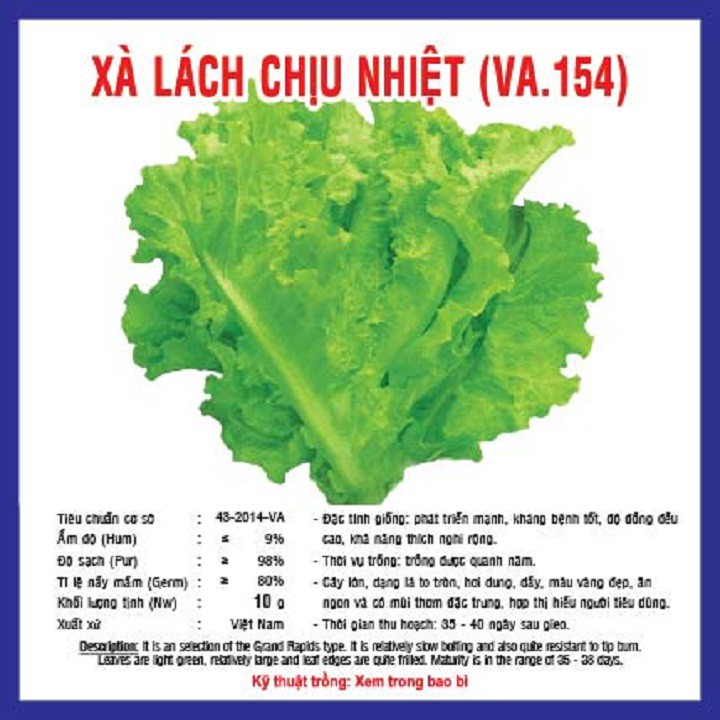 Hạt giống xà lách chịu nhiệt gói 5 gram xuất xứ Việt Nam