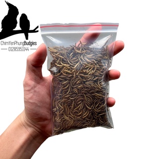 30g sâu sấy khô bổ dưỡng cho Hamster, Chim cảnh, Gà cảnh, Sóc Bay [hàng đẹp]