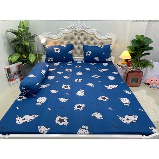 Drap thun Hàn quốc ( 7 màu)