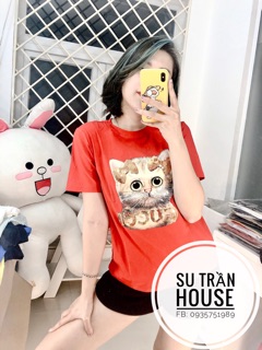 Áo thun quảng châu cao cấp