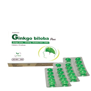 Hỗ trợ não bộ Ginkgo biloba Plus