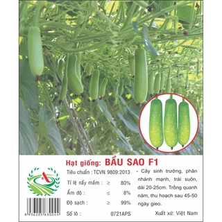 Hạt giống bầu sao f1 2g