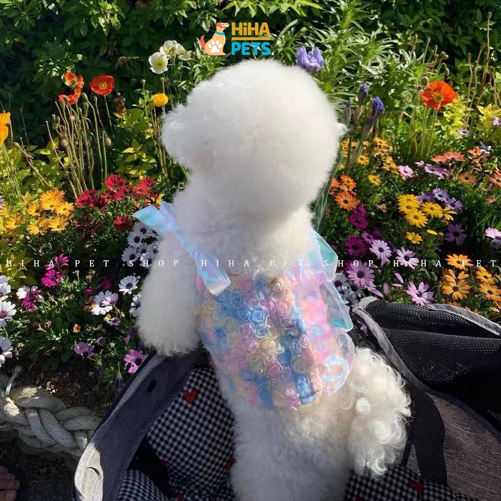 Váy Đầm Cho Chó Mèo Không Nón Hàn Quốc Mẫu Cao Cấp Quần Áo Thú Cưng Thiết Kế Thời Trang Hihapet.