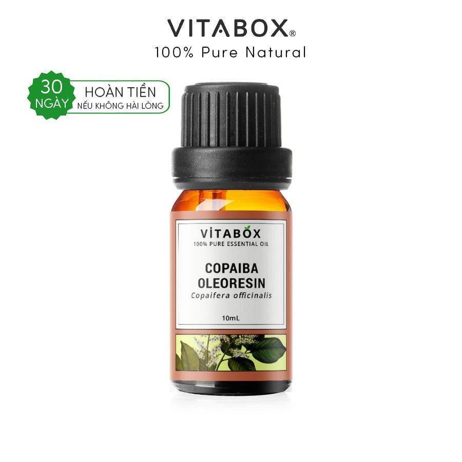 Tinh dầu nhựa thơm Copaiba Oleoresin VITABOX 100% thiên nhiên nguyên chất – pure essential oil