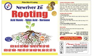 Siêu ra rễ Rooting