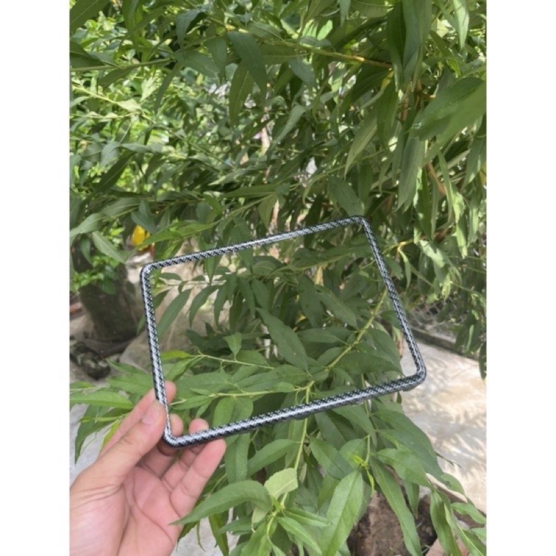Bộ Viền Biển Số Cacbon Cao Cấp Gắn Mọi Loại Xe