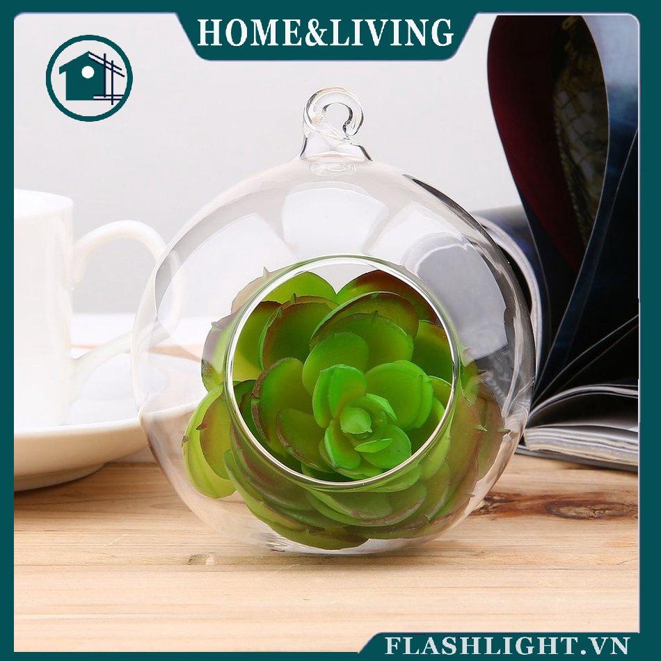 Chậu hoa thủy tinh treo sáng tạo / trang trí văn phòng / hộp thủy tinh / bình phong cảnh 8cm