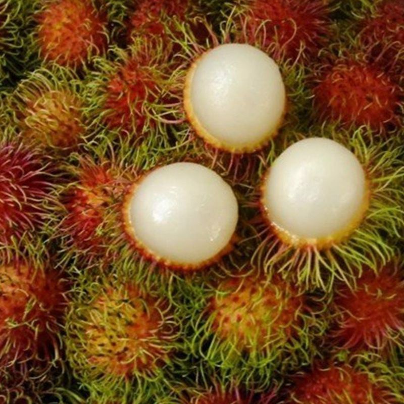 chôm chôm thái