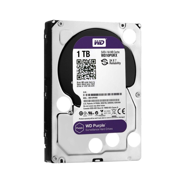 Ổ CỨNG 1TB PURPLE (TÍM) BH 24T + Tặng Cáp Sata | BigBuy360 - bigbuy360.vn