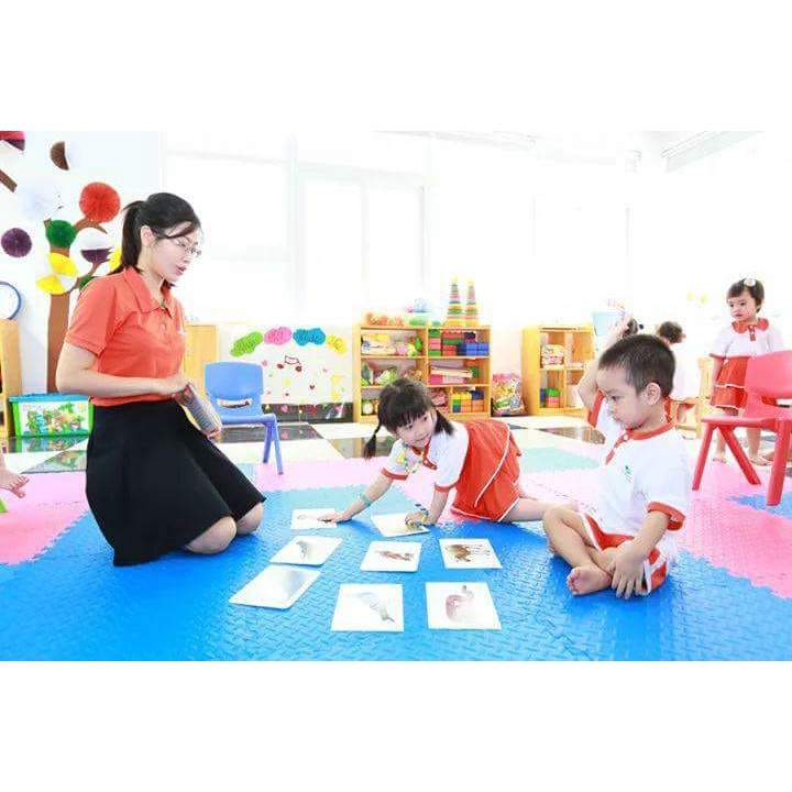 Bộ Thẻ Học Thông Minh 14 Chủ Đề loại To Song Ngữ Tiếng Anh Loại Chuẩn Glenn Doman Flashcard Cho Bé Từ 0-6 Tuổi