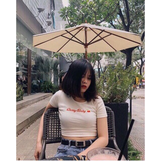 Áo crop ( kèm ảnh thật )