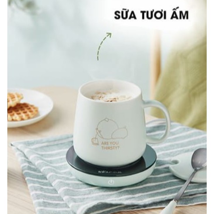 Đế hâm nóng đa năng, nhanh chóng và tiện lợi, thiết kế đẹp, an toàn, Đế Hâm Nóng Kèm Cốc Bear DRBD-A16B1