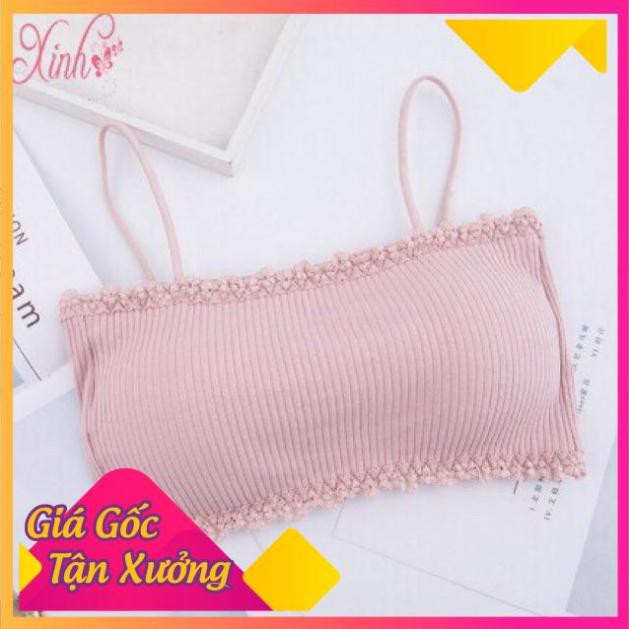 Áo Bra Cotton Tăm Viền Ren Cài Sau Siêu Mềm 8832