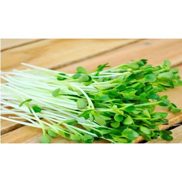 HẠT GIỐNG MẦM CẢI BÔNG XANH - GÓI 20 GRAM