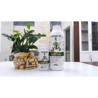 Dịch trùn quế cho hoa cây cảnh Masinari