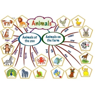 Sơ đồ tư duy - học tiếng anh - mindmap khổ A4 ép plastic