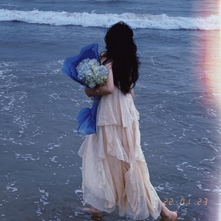 [Hàng đặt trước] Đầm công chúa