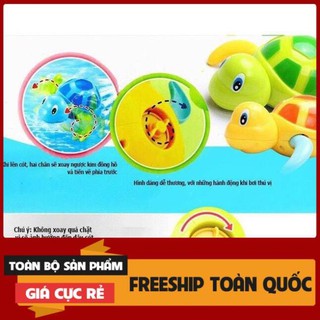 ĐỒ CHƠI CÁ RÙA THẢ BỒN TẮM