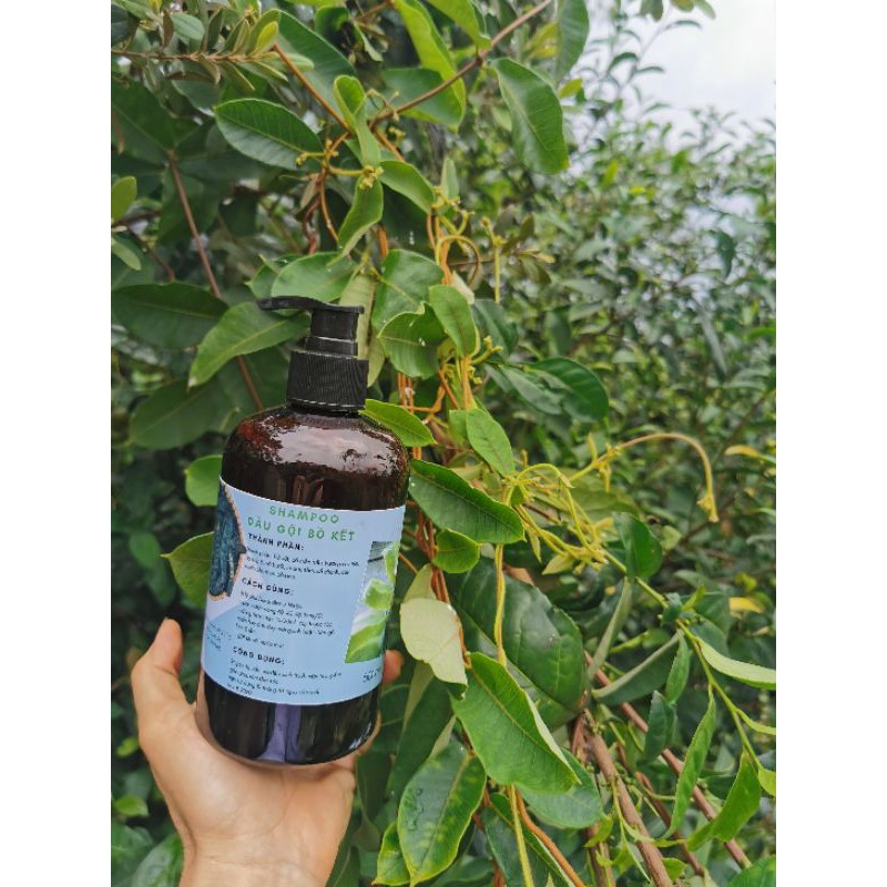 Cặp dầu Gội Xả Thảo Mộc Mọc Tóc, giảm rụng tóc, kích thích mọc tóc, trị gàu không hóa chất, thải độc da đầu, an toàn trẻ | BigBuy360 - bigbuy360.vn