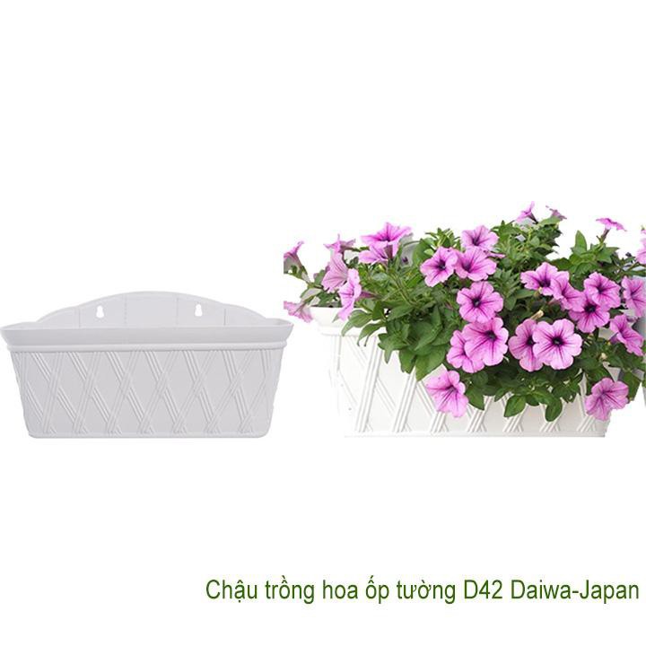 [MIỄN PHÍ VẬN CHUYỂN 25K] Chậu nhựa trồng hoa ốp tường Daiwa-Japan D42xR18xC22cm-TẶNG HAI MÓC TREO INOX