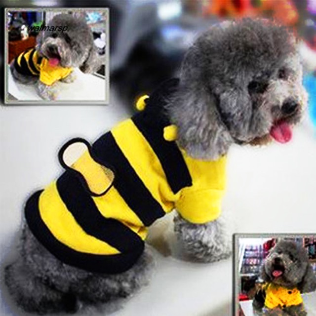 Áo hoodie con Ong Ong vàng dễ thương có nón cho thú cưng